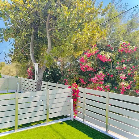 ヴィラ Zorbas Family *