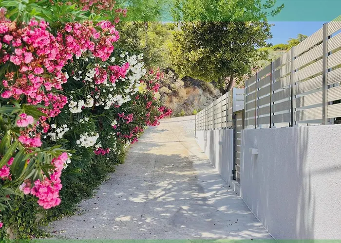 Zorbas Family * Platanias (Skiathos)