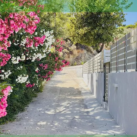 Zorbas Family * Platanias (Skiathos)